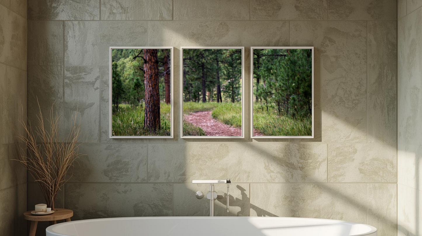 Woodland Passage: Evergreen Bend