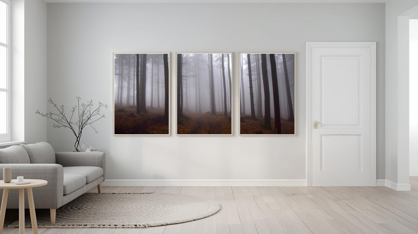 Woodland Passage: Mistwood Hollow