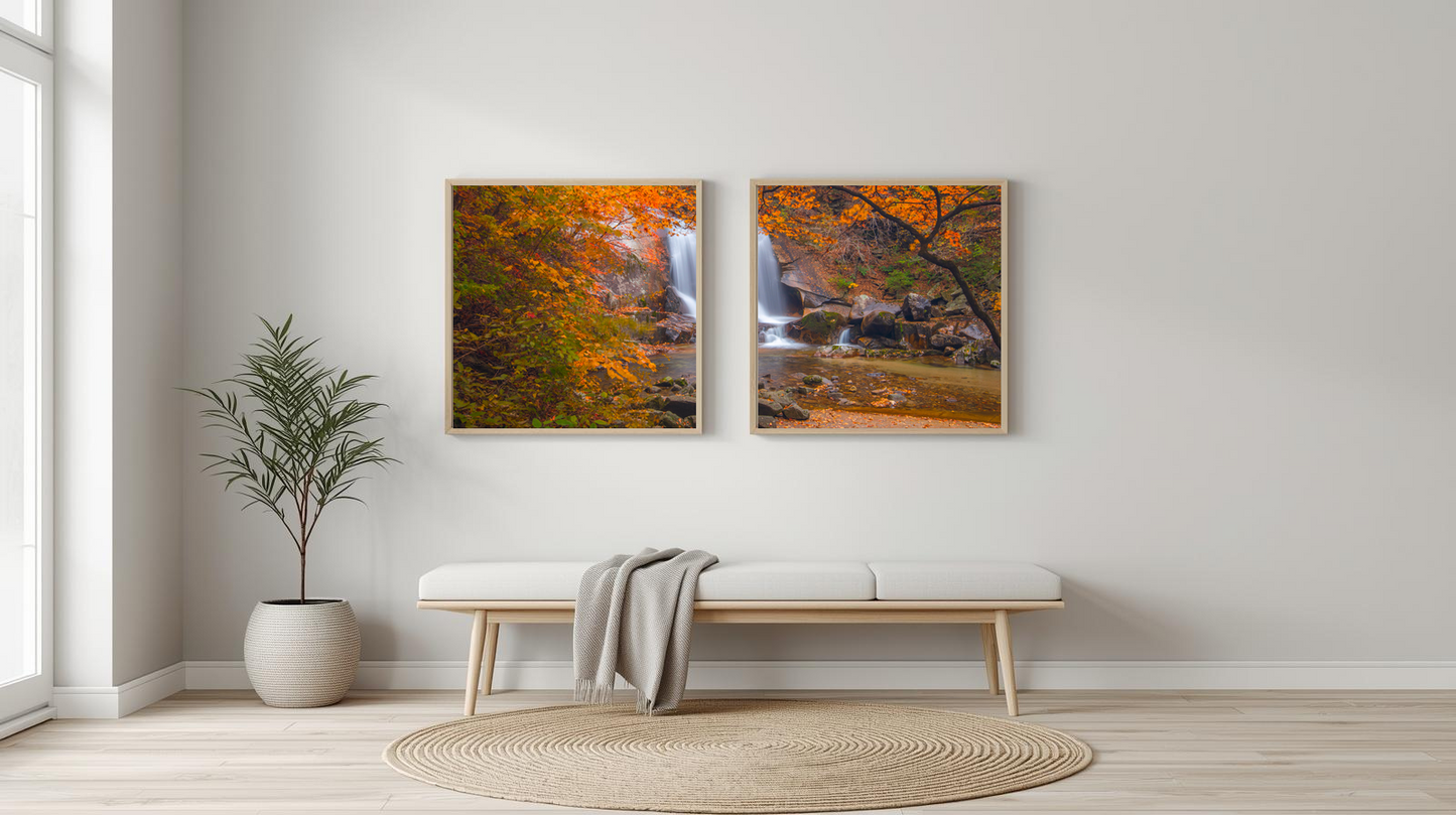 Genuine Falls: Amber Canopy