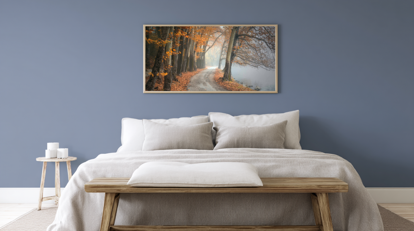 Woodland Passage: Amber Drift