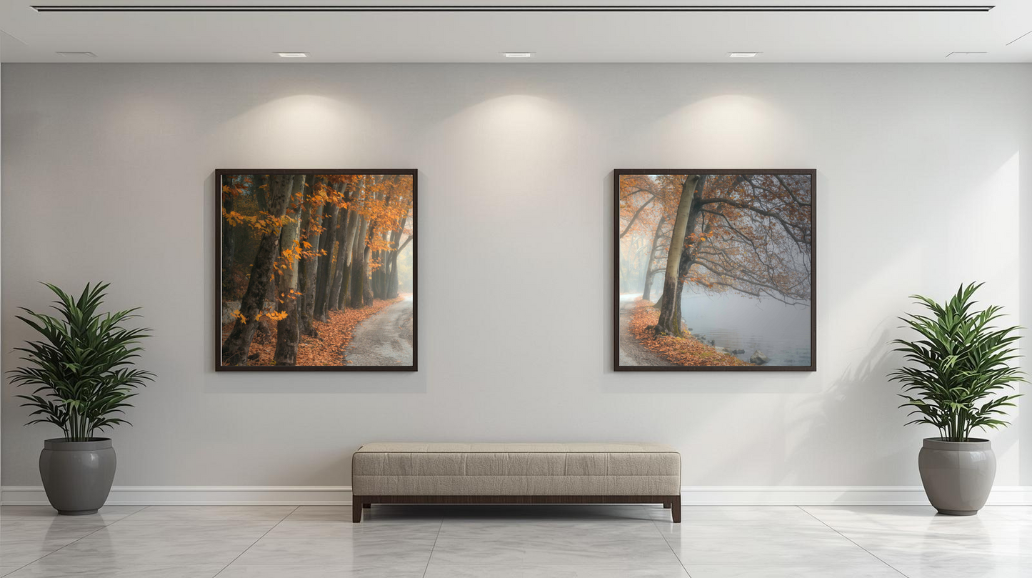 Woodland Passage: Amber Drift