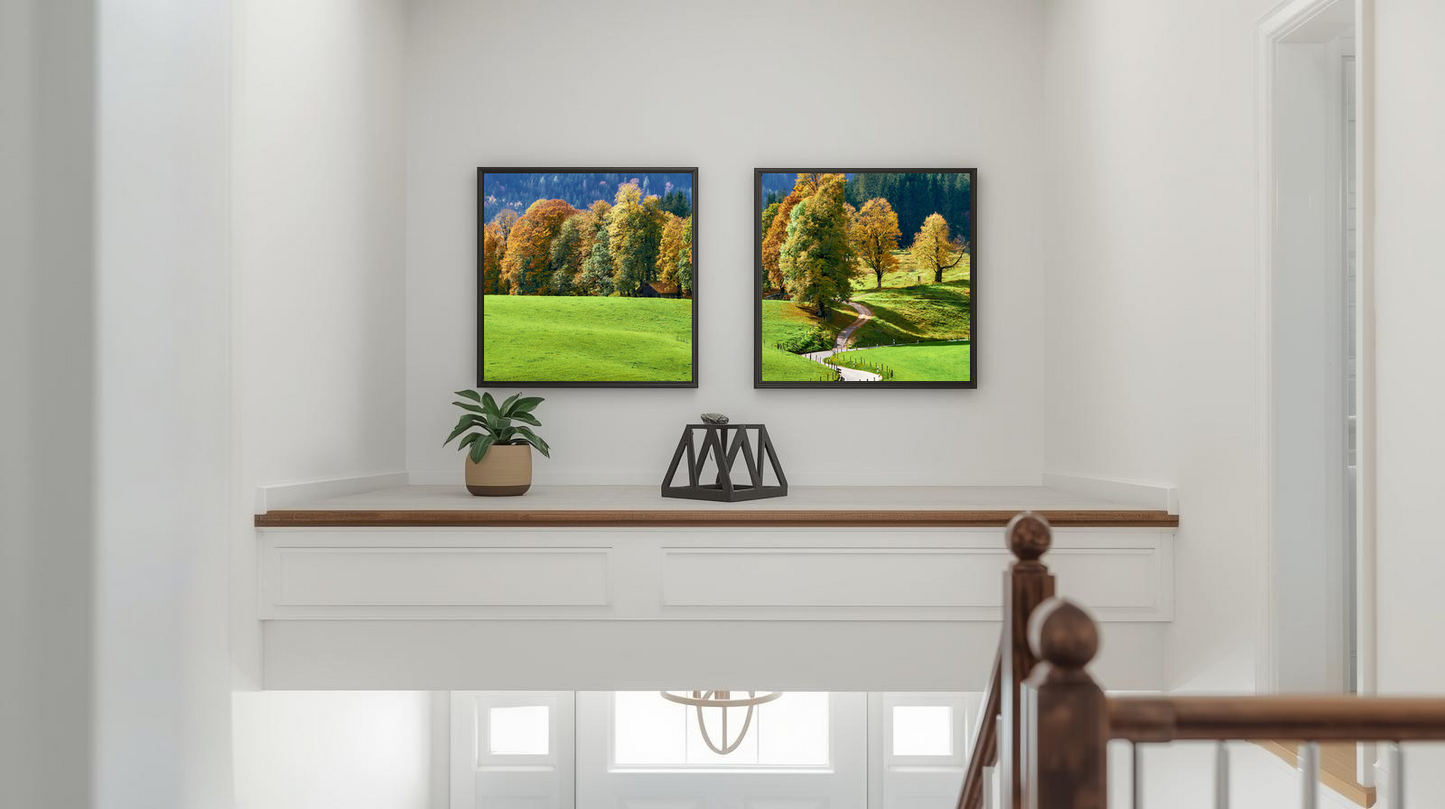 Woodland Passage: Autumn Wayfarer