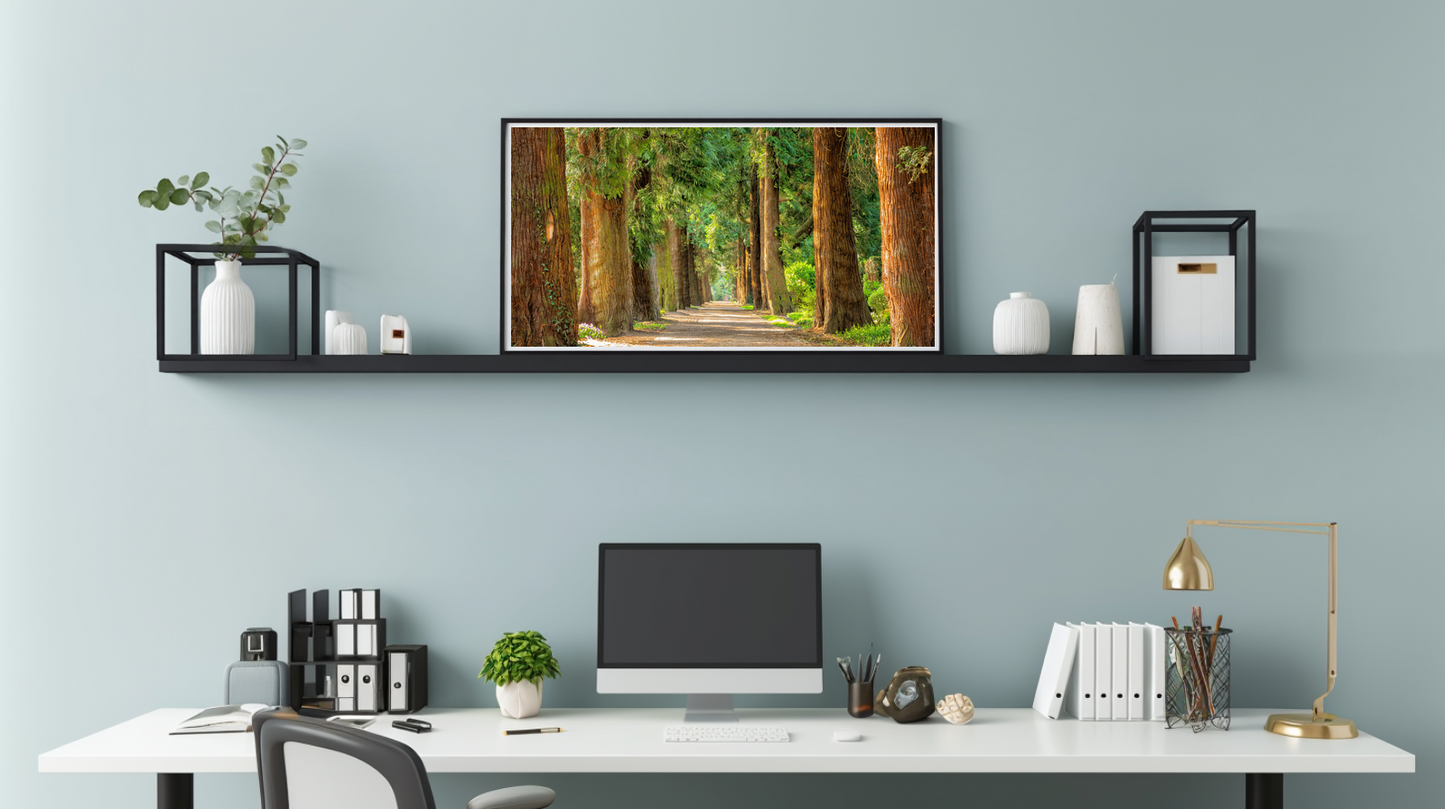 Woodland Passage: Canopy Way