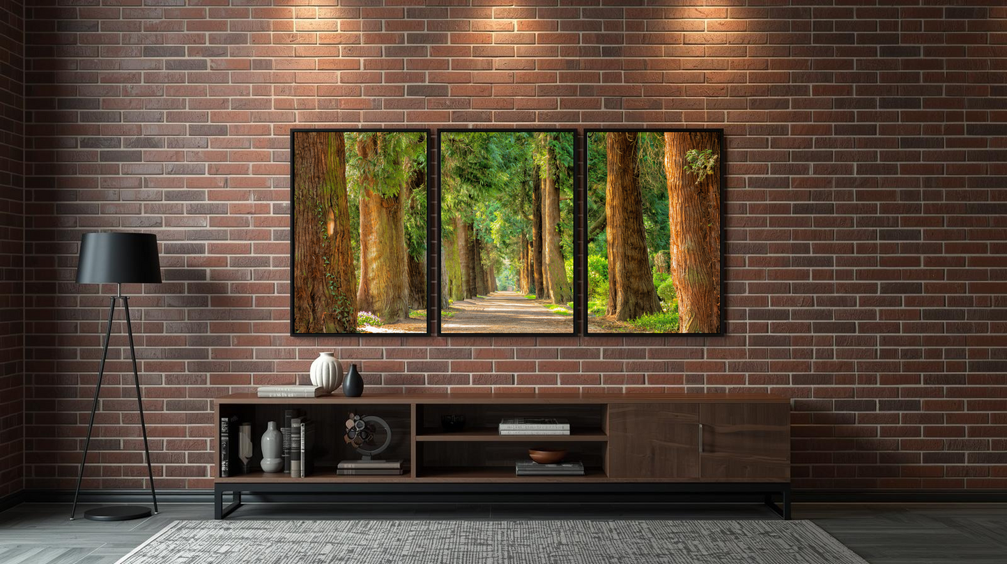 Woodland Passage: Canopy Way