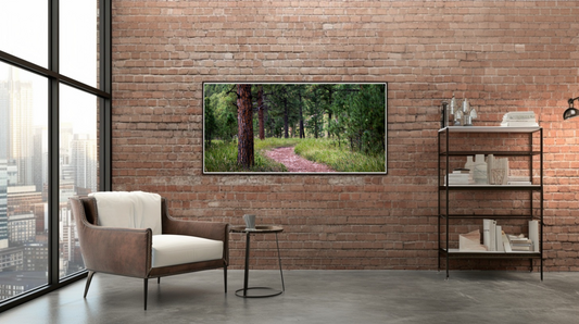 Woodland Passage: Evergreen Bend