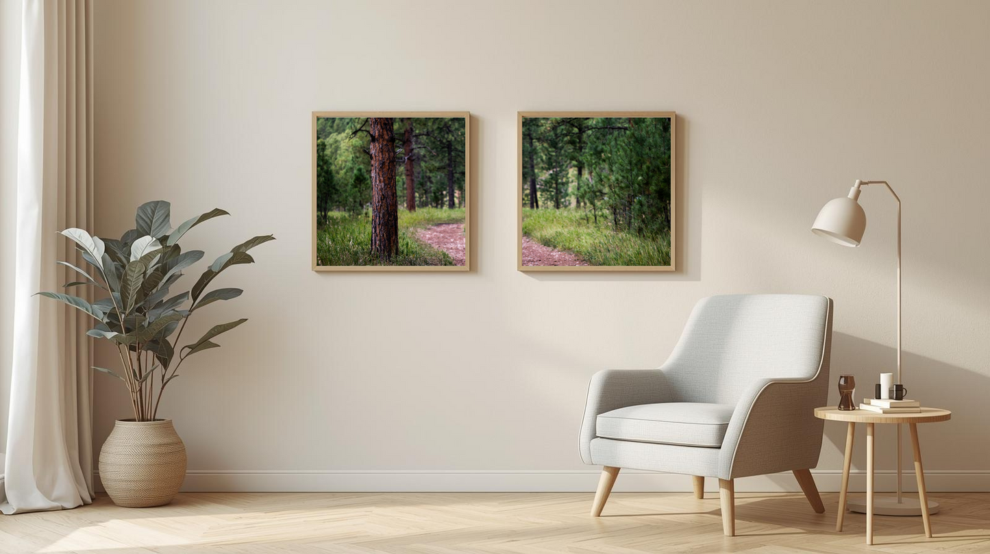 Woodland Passage: Evergreen Bend