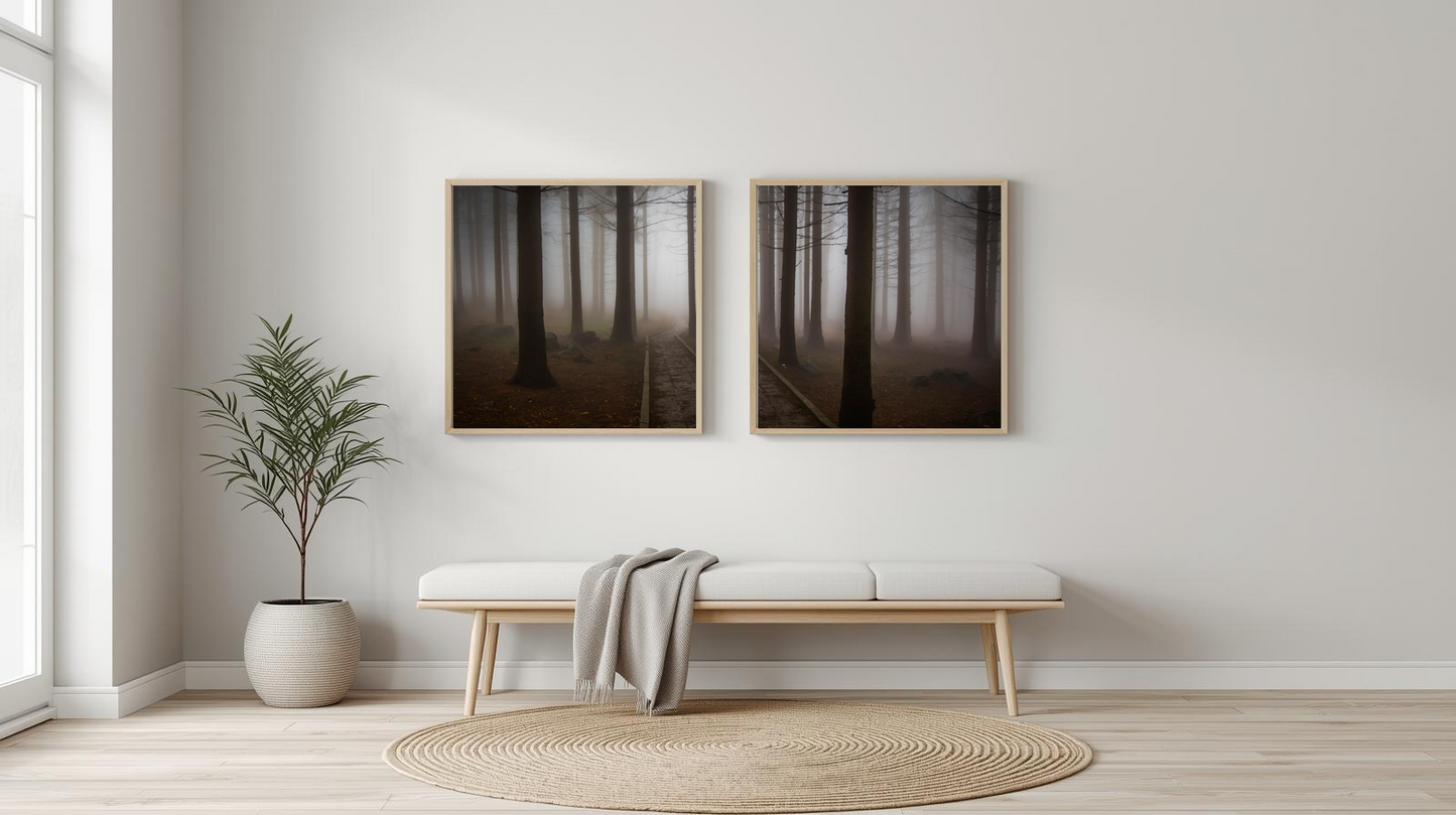 Woodland Passage: Fogveil Crossing