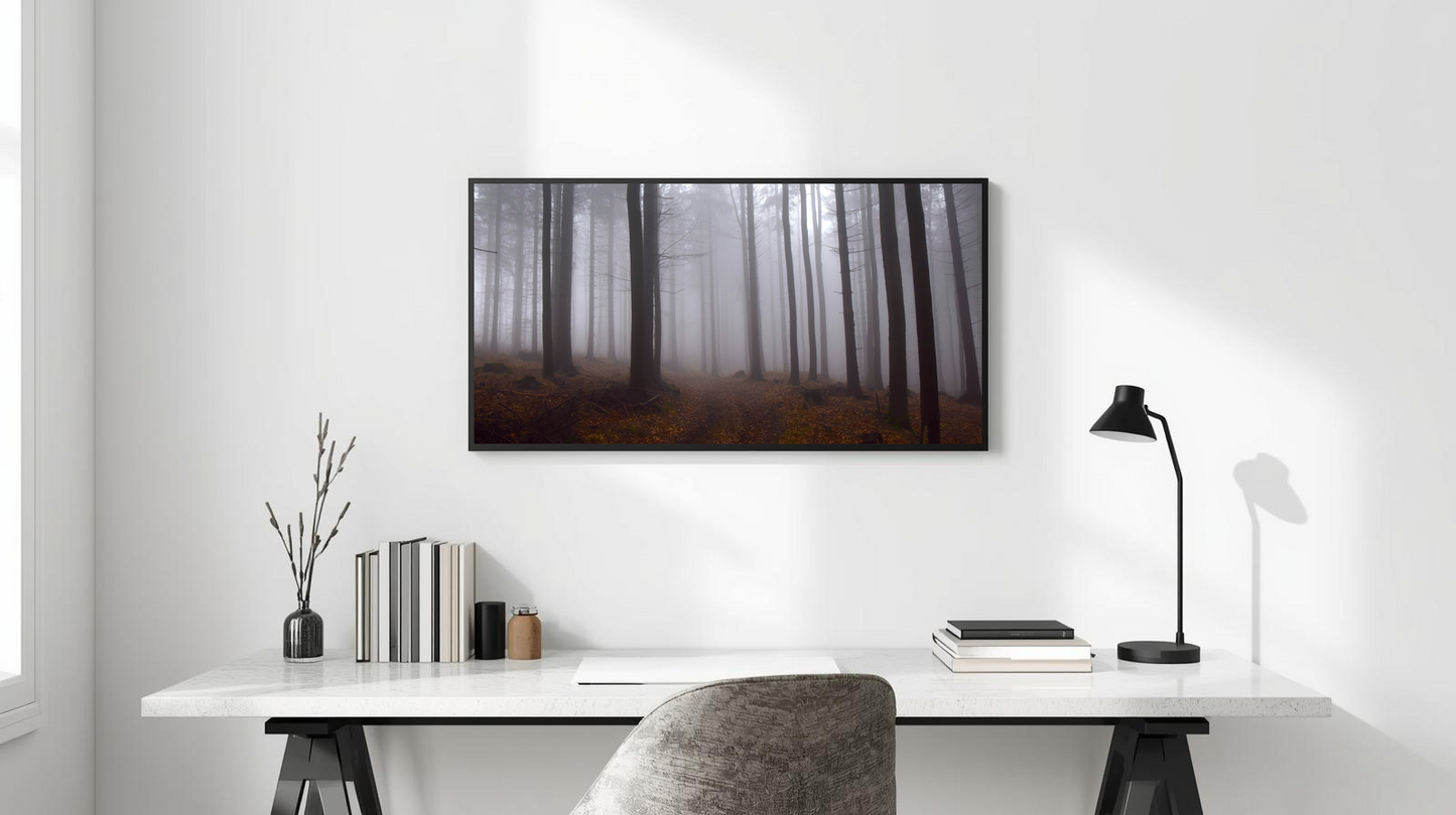 Woodland Passage: Mistwood Hollow