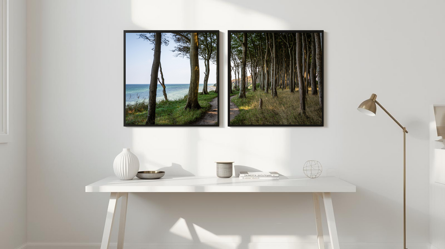 Woodland Passage: Seabreeze Path