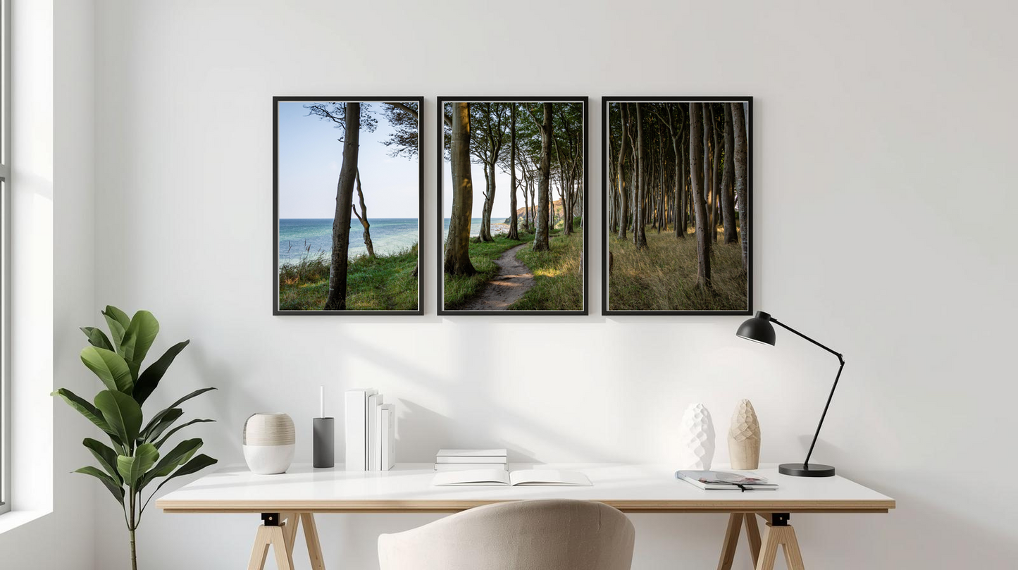 Woodland Passage: Seabreeze Path