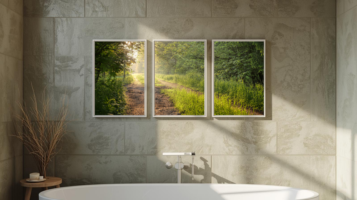 Woodland Passage: Solstice Glow