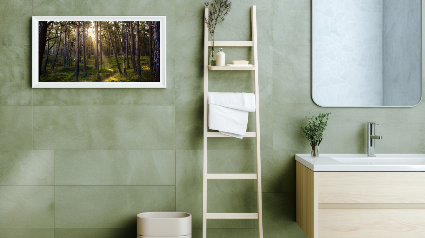 Woodland Passage: Sunveil Pines