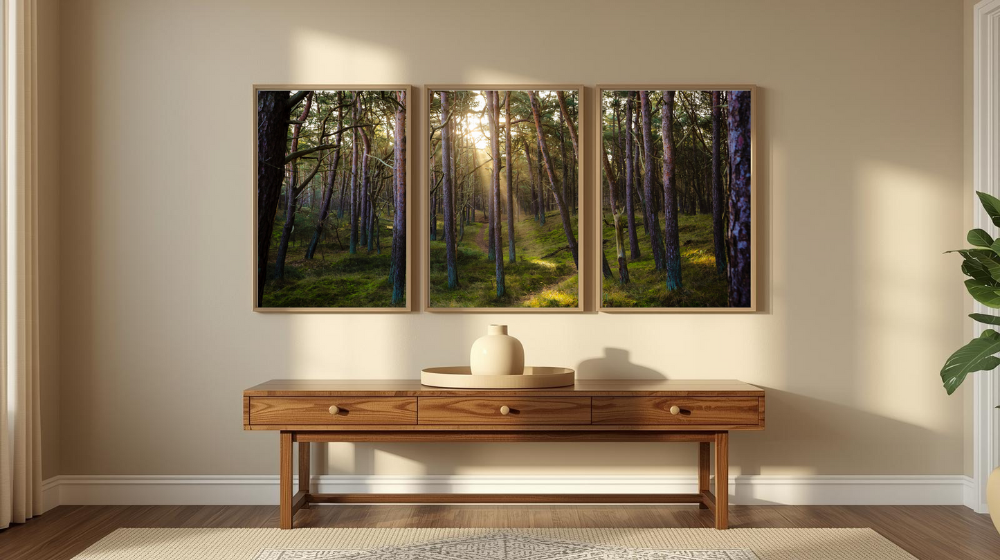 Woodland Passage: Sunveil Pines