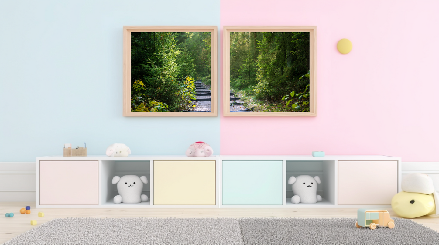 Woodland Passage: Timberstep Trail