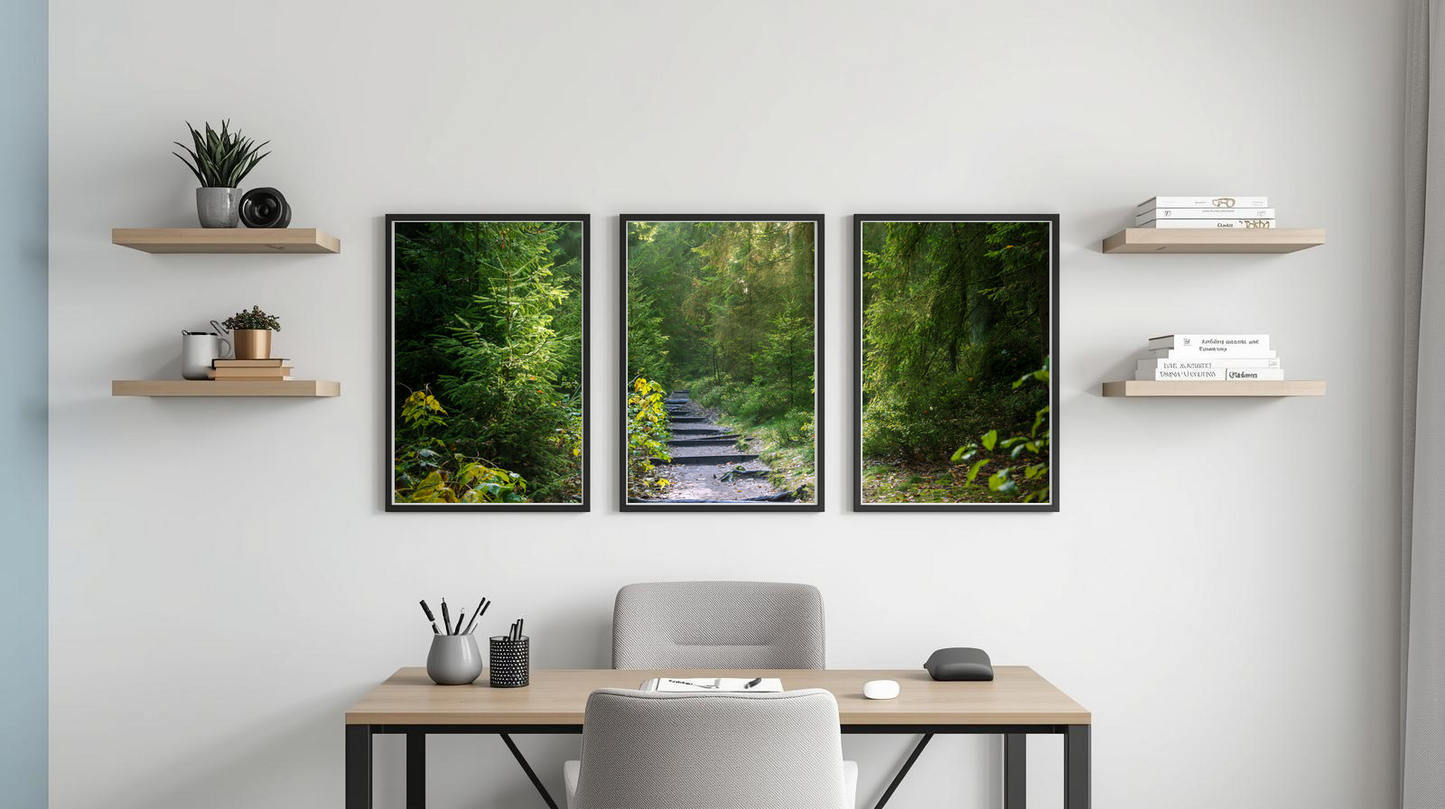 Woodland Passage: Timberstep Trail