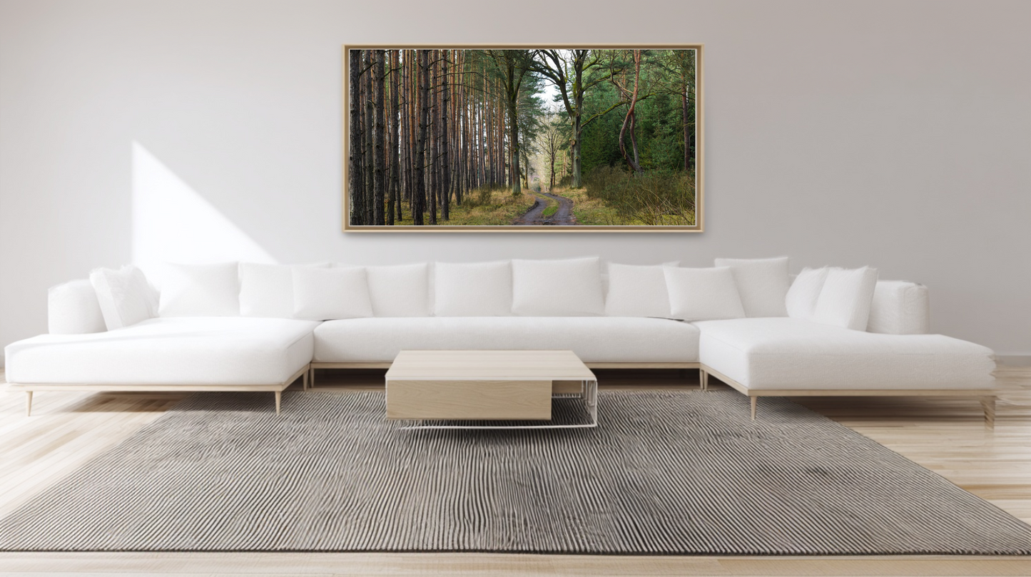 Woodland Passage: Twinwood Curve