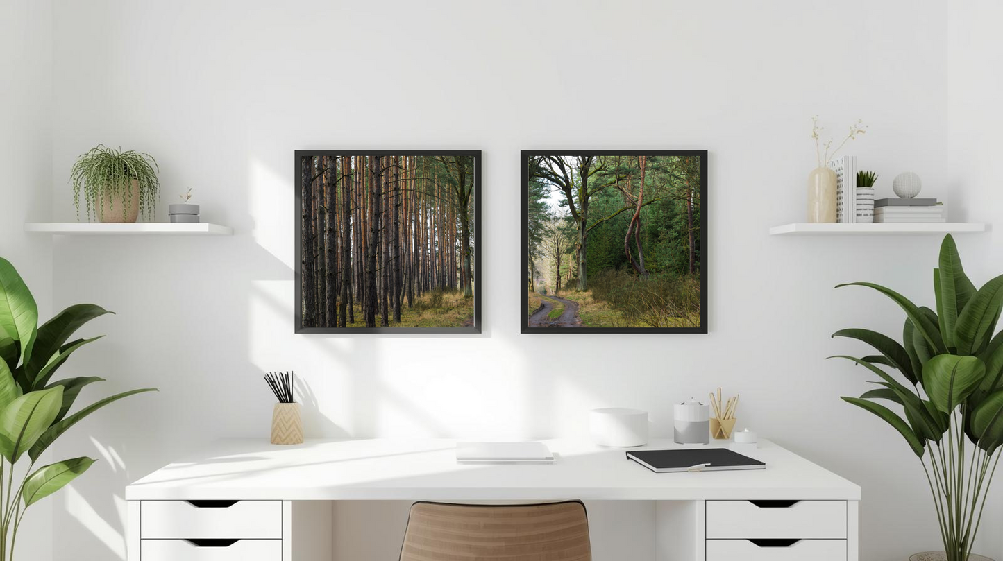 Woodland Passage: Twinwood Curve