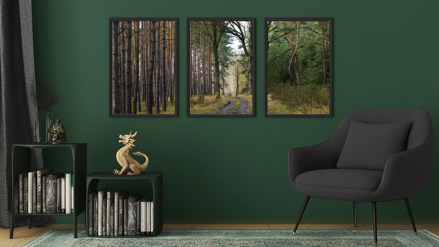 Woodland Passage: Twinwood Curve