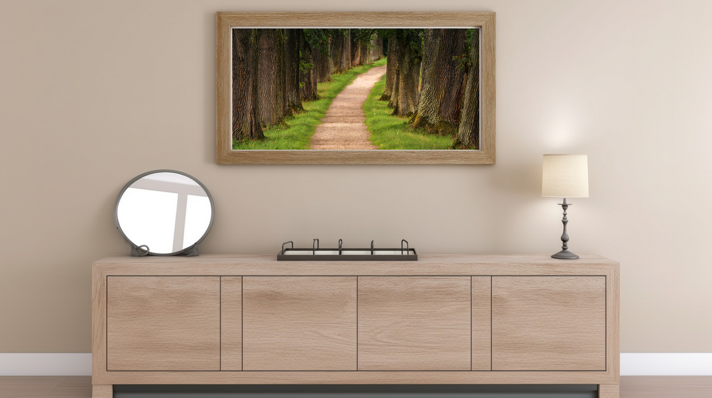 Woodland Passage: Verdant Corridor